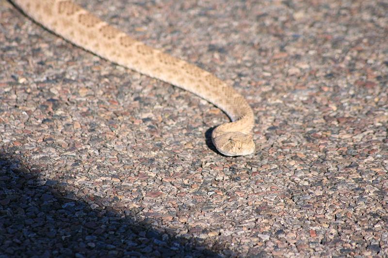 20081104 apache trail 082.jpg